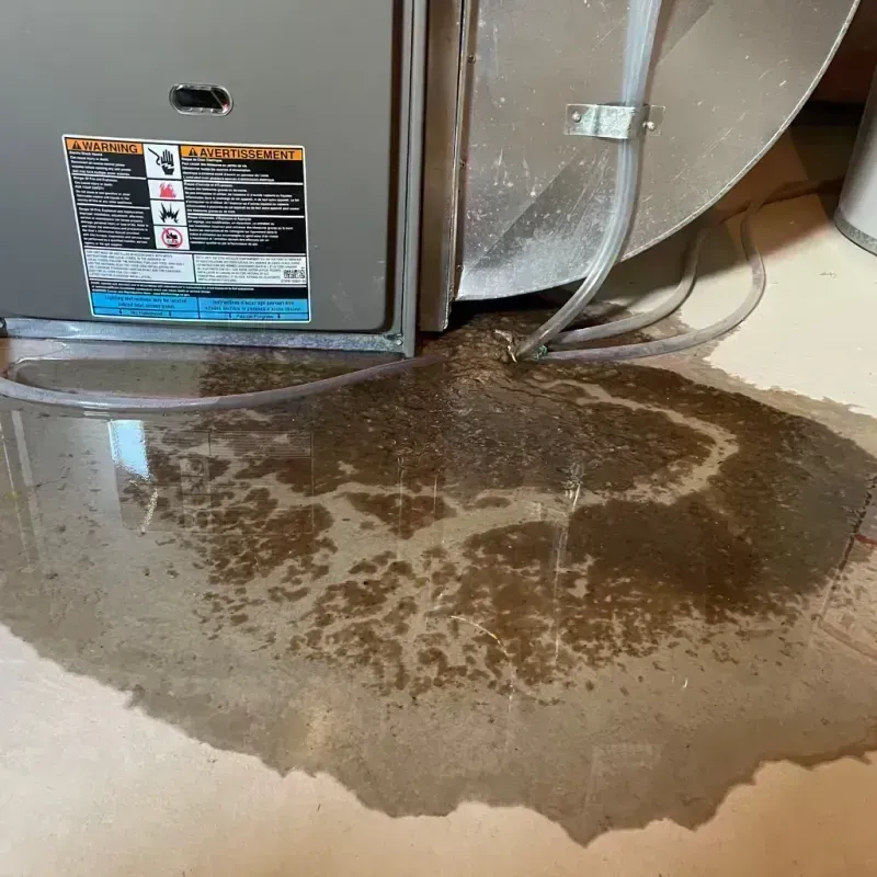 Appliance Leak Cleanup in Sweeny, TX